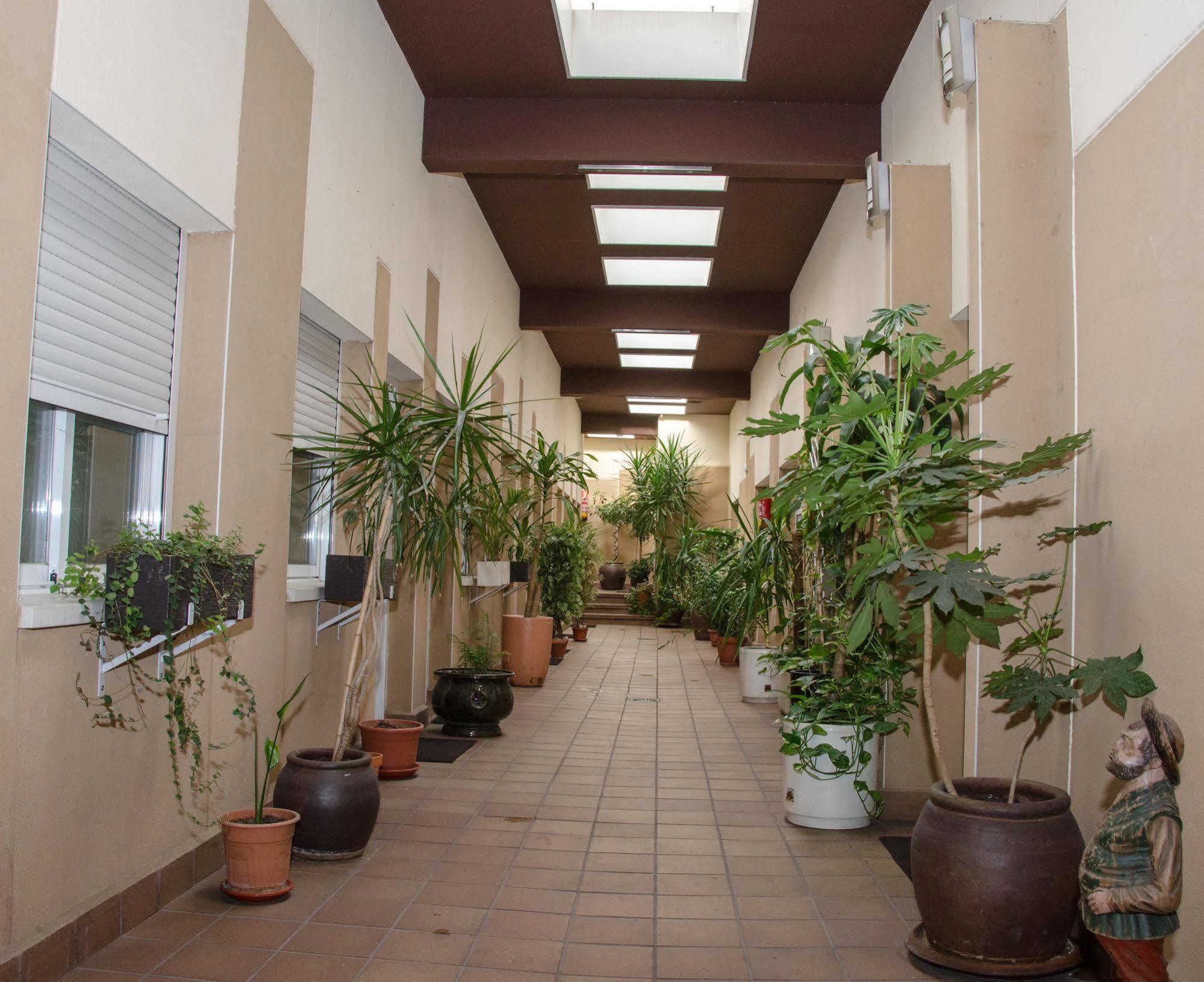 Hotel Ciudad De Alcala à Alcalá de Henares Extérieur photo